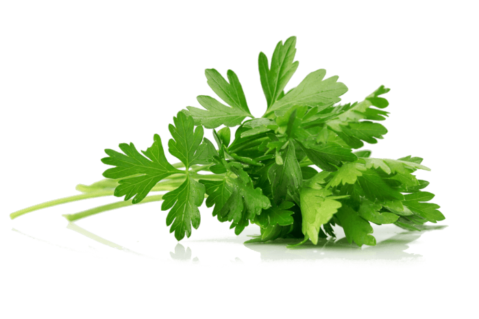 parsley